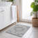 Machine Washable Indoor/Outdoor Claudian ACN1238 Silver Rug