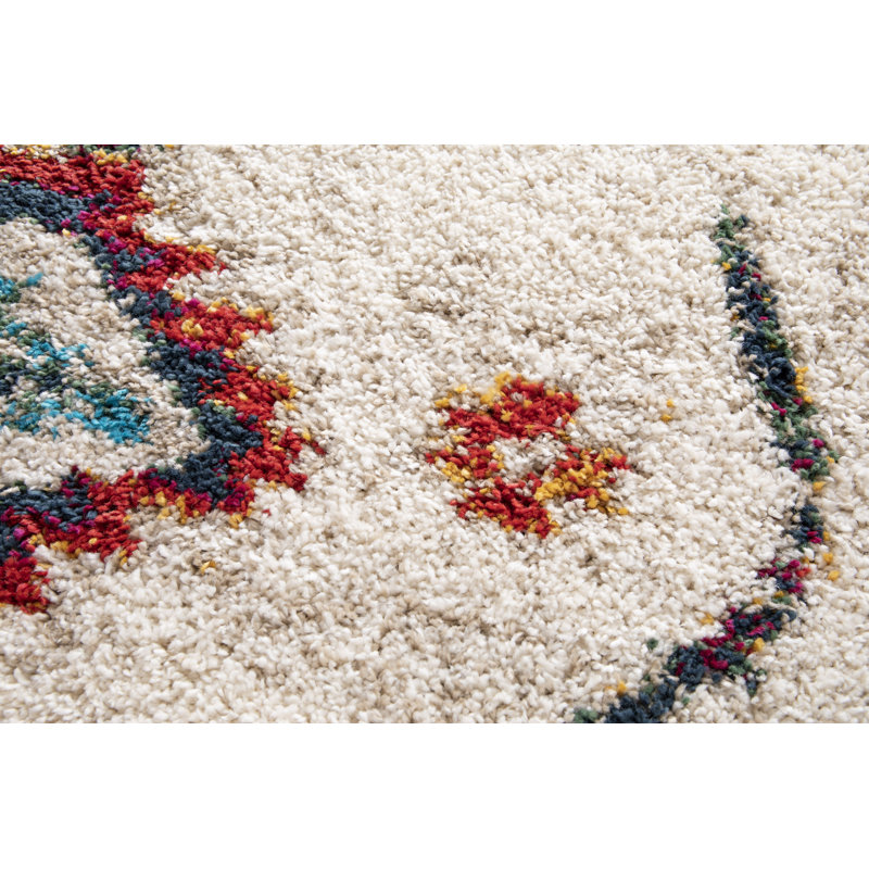 Allensville Geometric Shag Area Rug, Rectangle 80 x 150cm