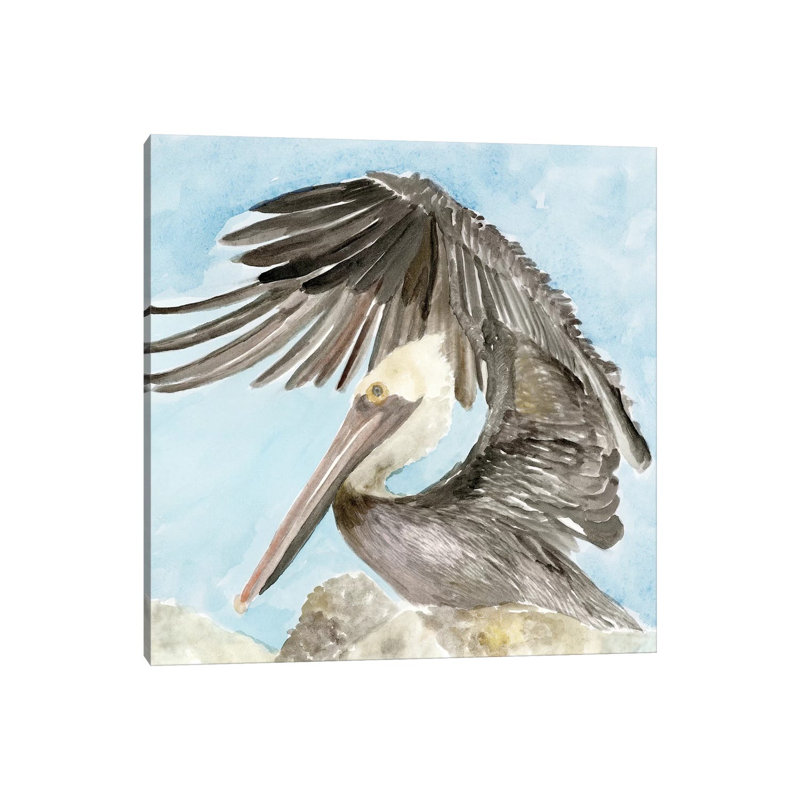 Soft Brown Pelican II by Stellar Design Studio - Wrapped Canvas Gallery-Wrapped Canvas Giclée