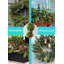 60'' in. Faux Pinecone Garland