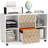 Large Mobile Lateral File Cabinet with 2 Drawers