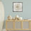 Cadre flottant naturel corail rond, design par Caroline Kelly