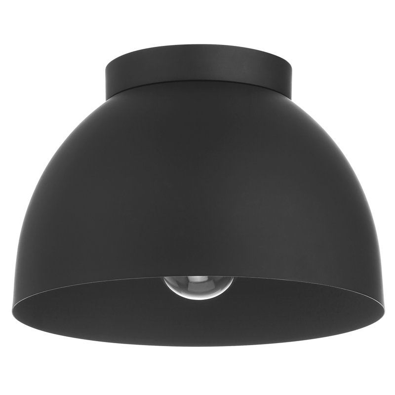 Hunter Erling 1 Light Medium Flush Mount Ceiling Light Fixture, Black, Matte Black