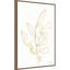 Racines florales V or-828930429