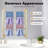 Akiyoshi Wall Mounted Scarf Rack-1788830654
