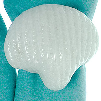 Scallop Shell Napkin Rings