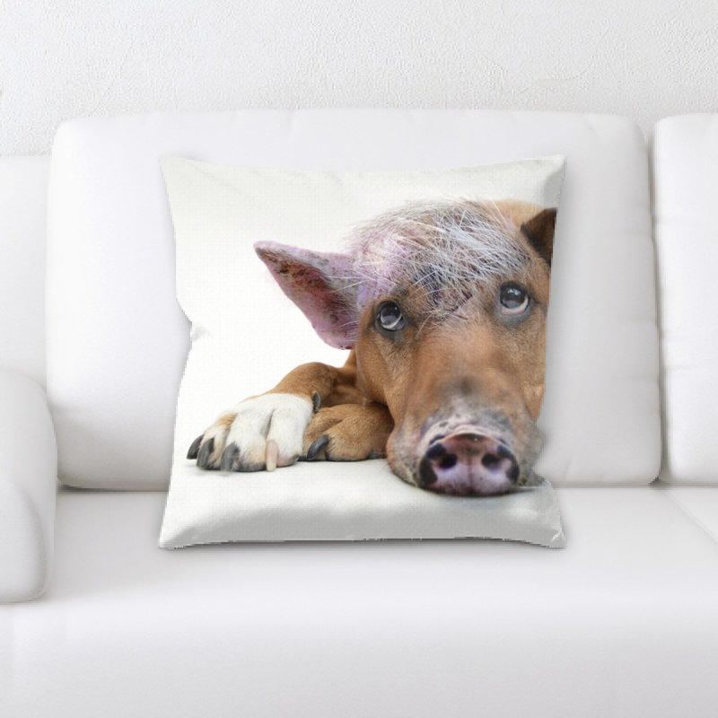 Coussin décoratif