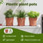 Pot Planter-52013146-52013147