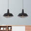  2-Light Black Farmhouse Pendant Light 18.1 Inch Industrial Pendant Light with Wire Cage for Kitchen Barn Dining Room-115827729