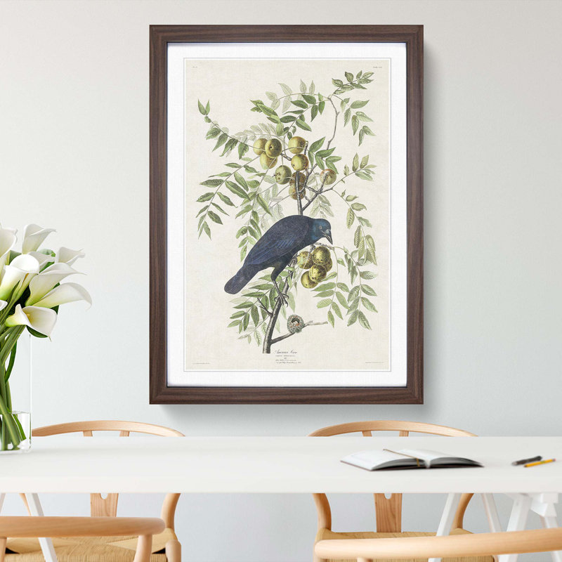 American Crow by John Audubon - Single Picture Frame Painting, 45cm H x 33cm W x 2cm D, Walnut Framed