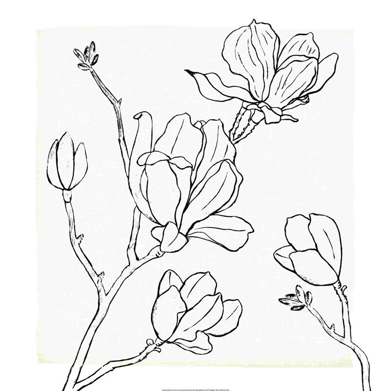 Fond de tiges florales, H 12 po x l 12 po