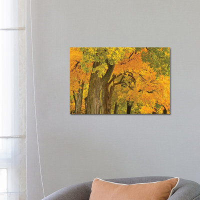 Colors Of Fall by Brian Wolf - Wrapped Canvas Gallery-Wrapped Canvas Giclée