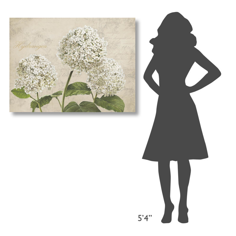 " Hydrangeas I ", 12" H x 16" W x 1.5" D