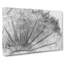 Dandelion Seed Sketch In Abstract - Wrapped Canvas Print-55311574