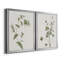 Toile encadrée de qualité supérieure Wispy Botanical I - prête à être accrochée-1622420743-1622420740