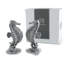Ensemble salière et poivrière Sea and Shore Pewter