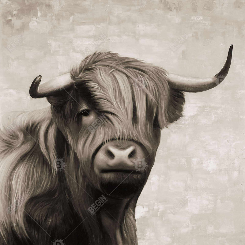 " Highland Cattle Sepia "