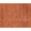 Hand Knotted Wool Area Rug in Rust
