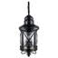Lanterne murale d'extérieur à 2 ampoules Siclen-384057188-384057189