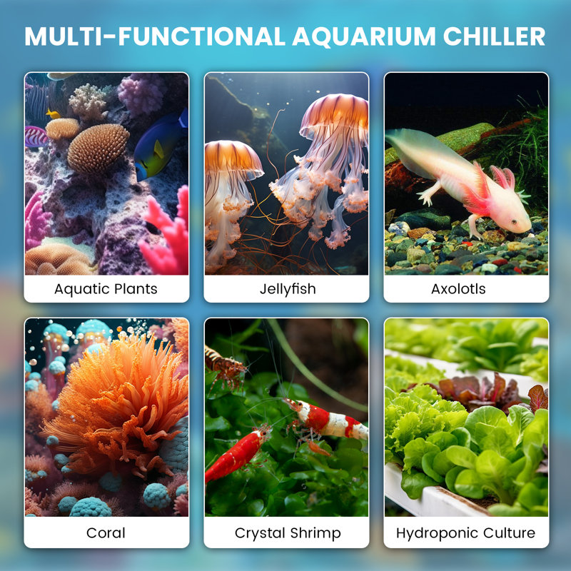 Refroidisseur d'aquarium 79 gallons, compresseur 1/3 HP (300W) pour eau douce et eau salée, H 12,6 po x l 11,5 po x P 11,5 po