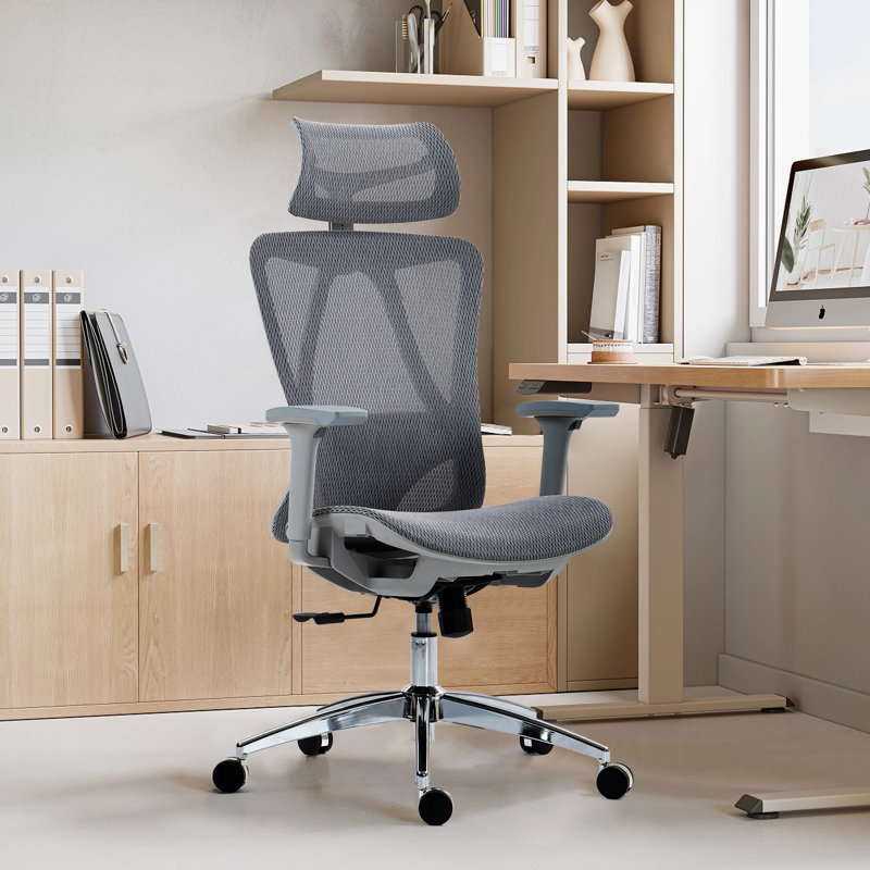High Back Mesh Office Chair, Gray, Silver