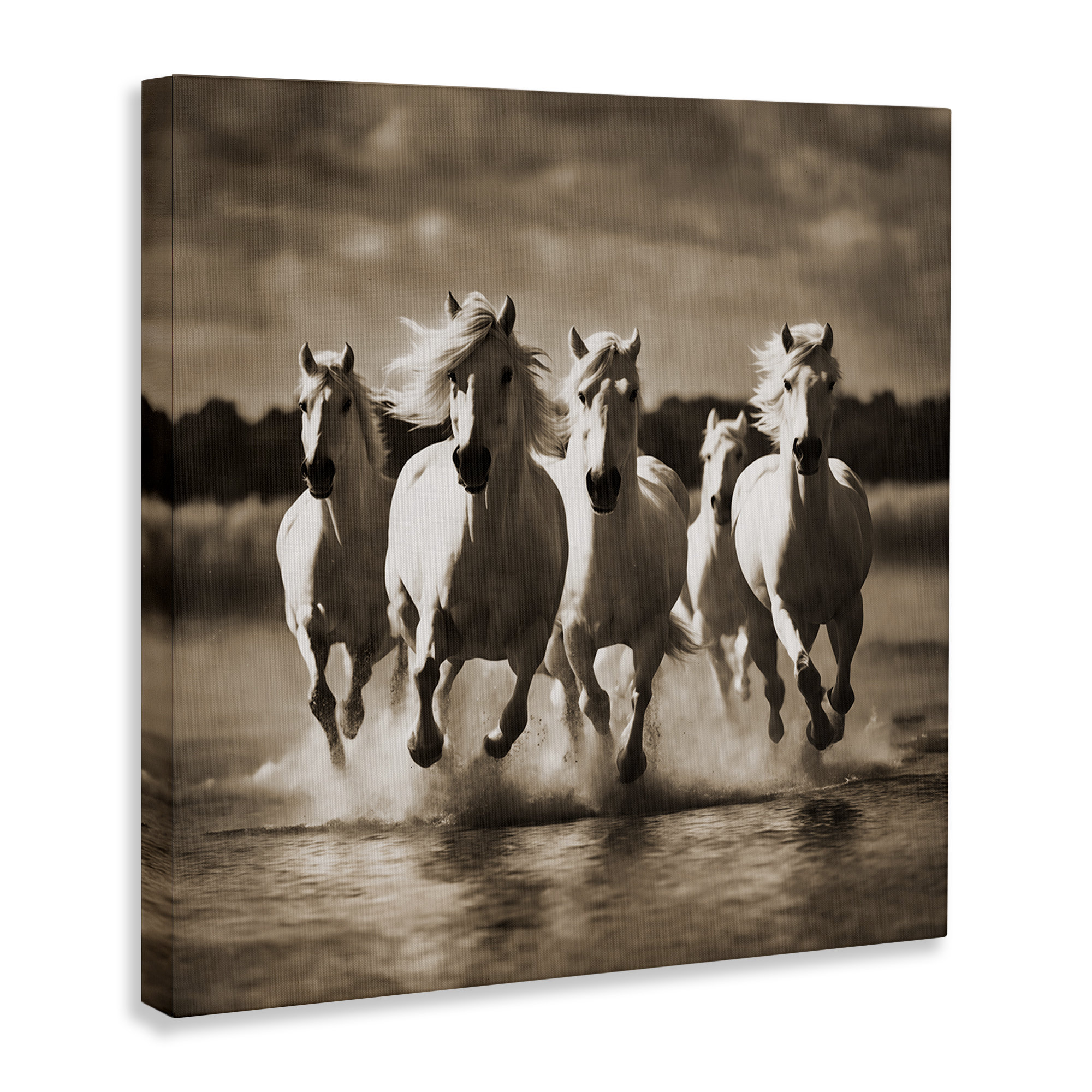 Union Rustic Camargue Stallions Trotting Canvas Wall Art by Noah Bay ...