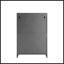 Armoire de rangement pour le salon