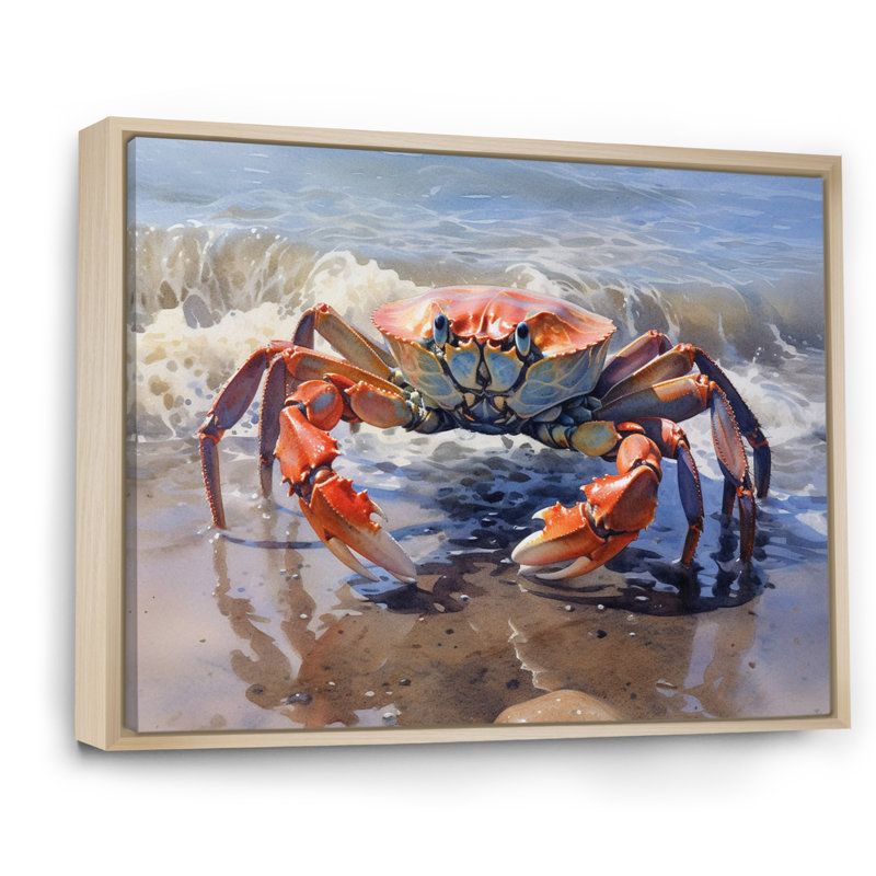 Crab Beachcombers II - Crab, art encadré, 16" H x 32" W, Cadre naturel flottant