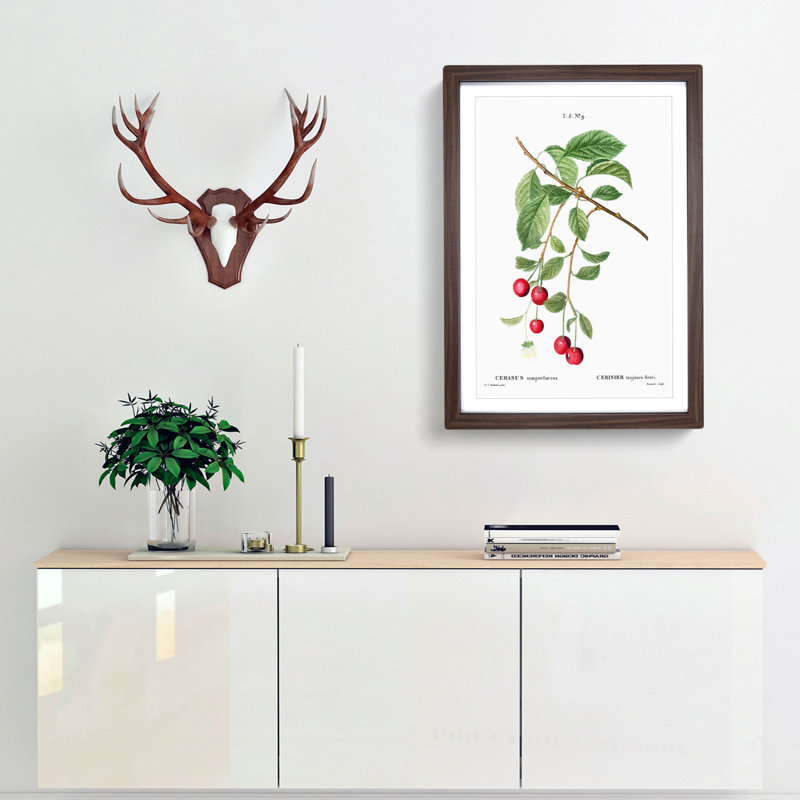 Cherry Tree Branch by Pierre-Joseph Redoute - Picture Frame Painting Print, Walnut Framed, 65cm H x 48cm W x 2cm D