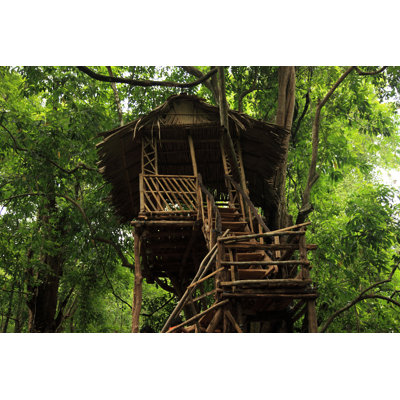 " Tree House In The Forest " by Ajijchan