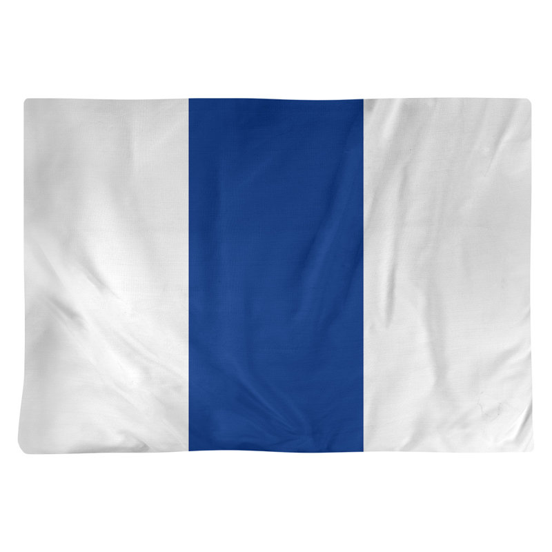 Récapitulatif 18" à rayures de football Seattle, Blanc / Bleu