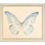 Butterflies S/6 Print by Meagher