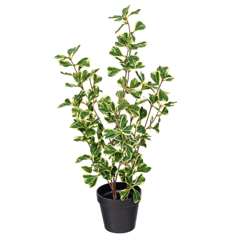 Ficus artificiel panaché 24 po