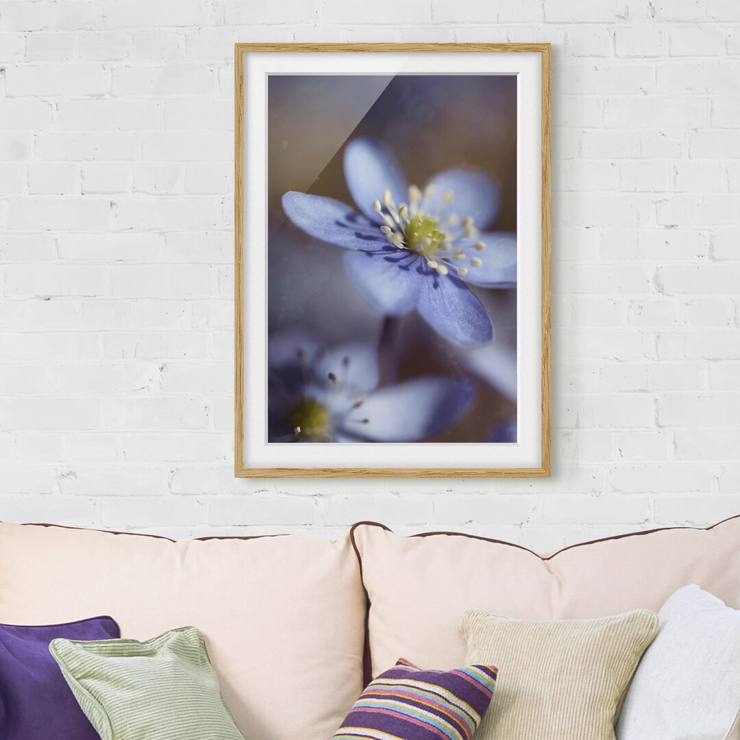 Gerahmtes Papierbild Anemonen in Blau