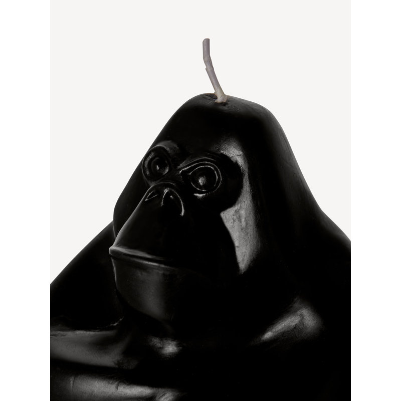 Bougie Gabba Gabba Hey, Noir