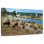 Brampt Herd Of Bison