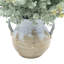 Eucalyptus Arranged in Decorative Ceramic Vase