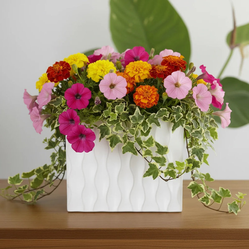 Ceramic Rectangle Vase Matte Finish, 5.5" H x 5.5" W x 5.75" D, White 