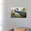 «Wick Louisiana Heron» par John James Audubon, reproduction sur toile-1020675310-1020675318-1046093012