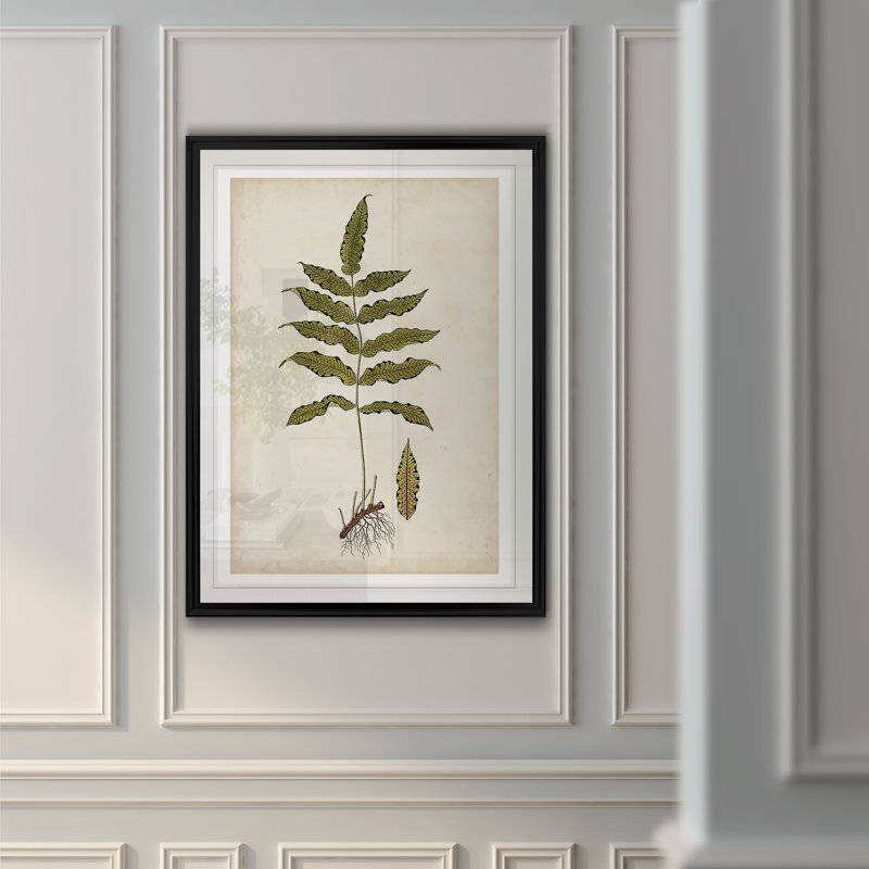 « palm botanique iii »-impression sur toile, H 26,5 po x l 36,5 po x P 1,5 po, Cadre noir