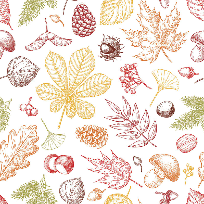 "Autumn Autumn" par Epine, impression sur toile tendue, H 12 po x l 12 po