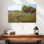 Alvord Spring Day Meadow-107867961