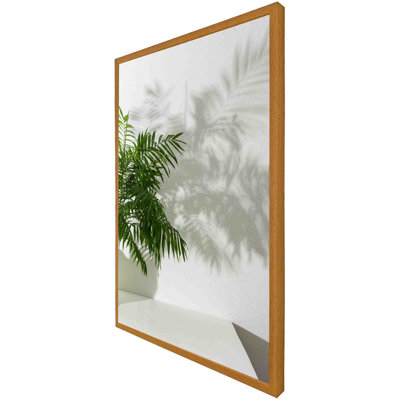 Hellertown Chamaedorea - Single Picture Frame Print