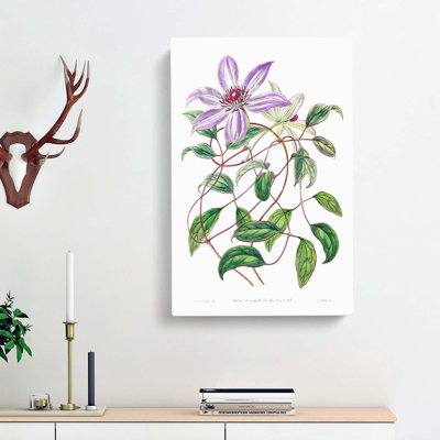 Violet Clematis Flowers - Wrapped Canvas