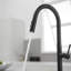 Robinet de cuisine amovible VIBRANTBATH-93524854