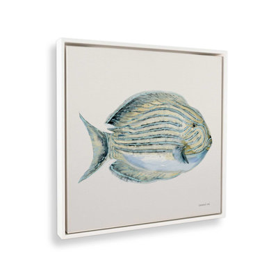 Striped Sea Wanderer On Canvas