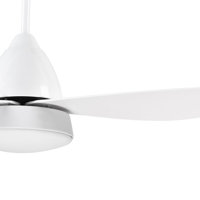 Nagma Ceiling Fan with Light Kit