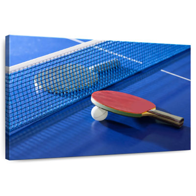 Sireci Blue Table Tennis