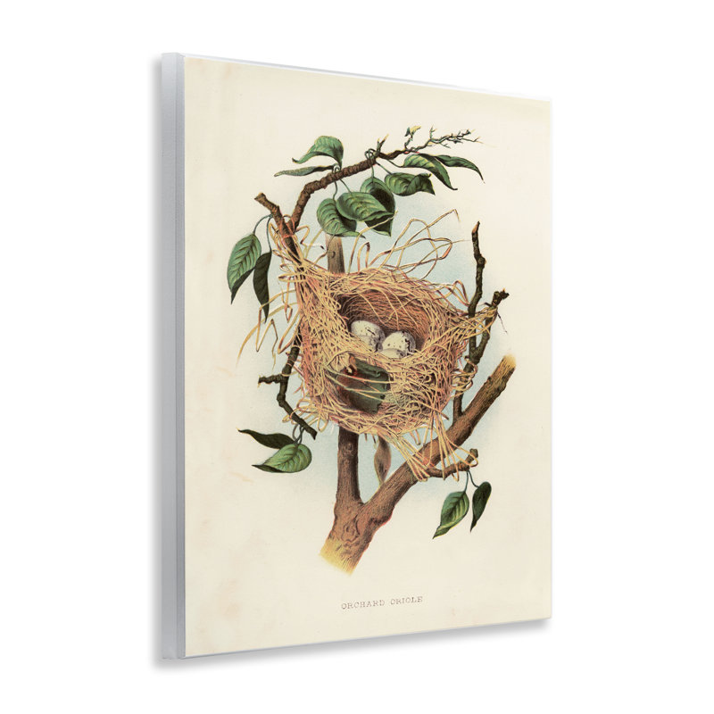  «Eggs in Birdesth Study», art mural par Tina Higgins Designs, Inc.