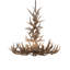 Rustic Lodge 8 - Light Chandelier